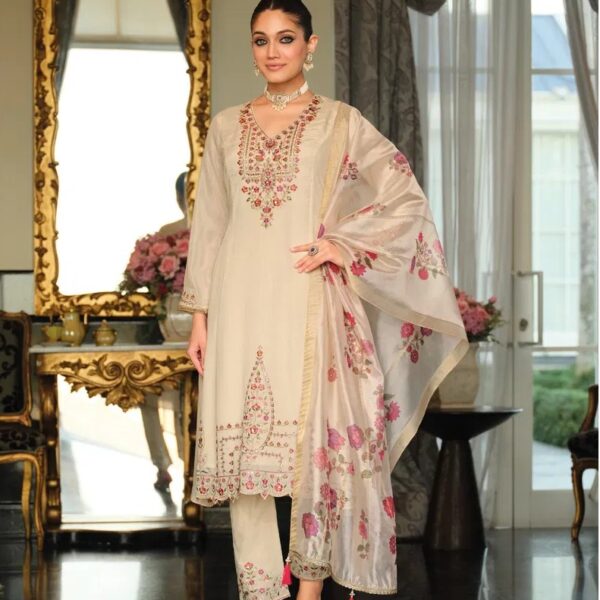 A Graceful Anarkali Suit 2